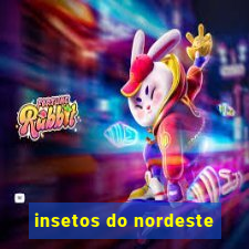 insetos do nordeste